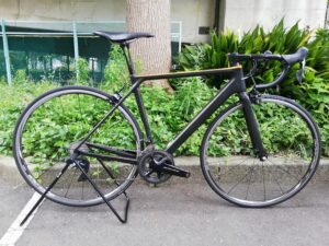 Canyon Ultimate CF Evo