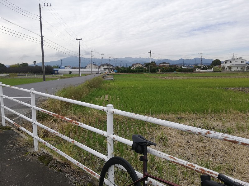 座間から望む丹沢山系