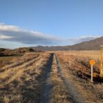 りんりんロードではないですがこんな景色が続きます