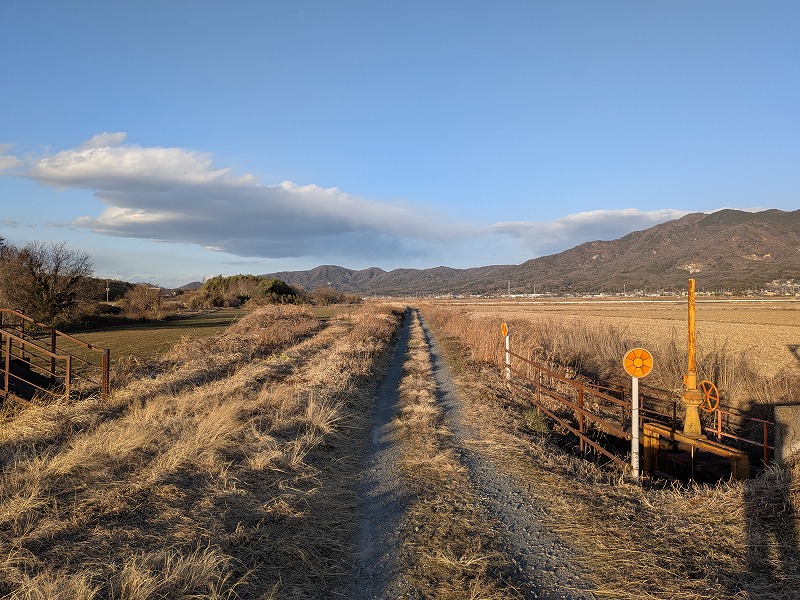りんりんロードではないですがこんな景色が続きます